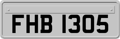 FHB1305