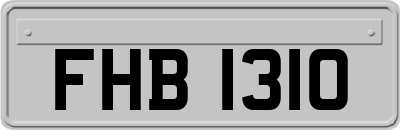 FHB1310