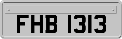 FHB1313