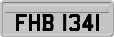 FHB1341