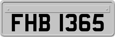 FHB1365