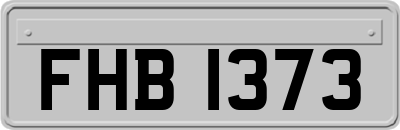 FHB1373