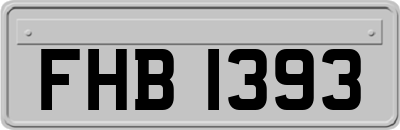 FHB1393