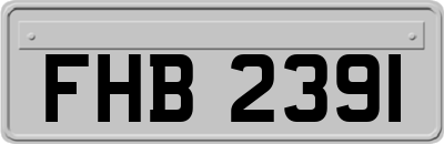 FHB2391