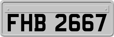 FHB2667