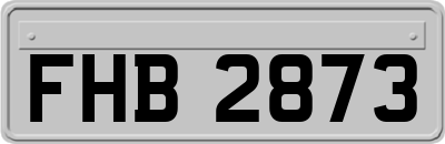 FHB2873