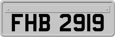FHB2919