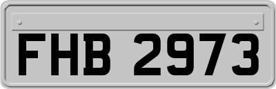 FHB2973