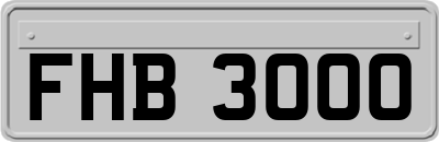 FHB3000