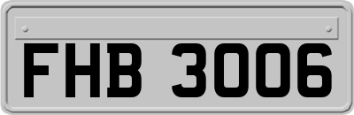 FHB3006