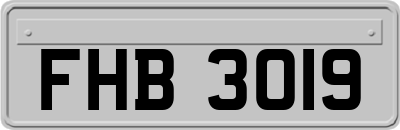 FHB3019