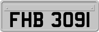 FHB3091