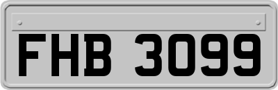 FHB3099