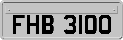 FHB3100