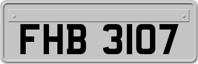 FHB3107