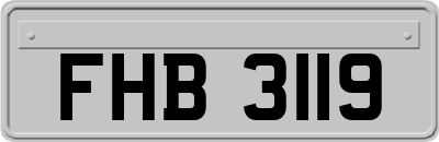 FHB3119