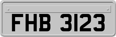 FHB3123