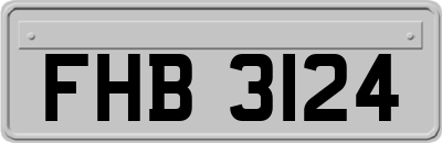 FHB3124