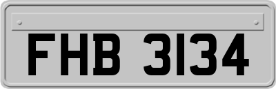 FHB3134