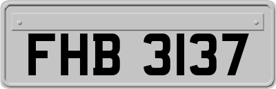 FHB3137