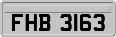 FHB3163