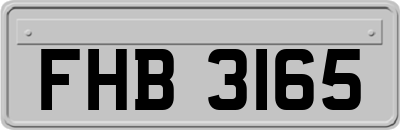 FHB3165