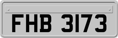 FHB3173
