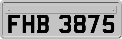 FHB3875