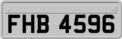 FHB4596