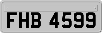 FHB4599