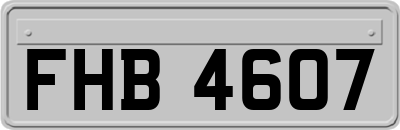 FHB4607