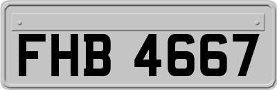 FHB4667