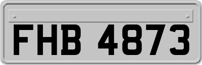 FHB4873