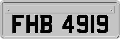 FHB4919