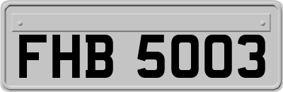 FHB5003