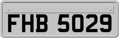 FHB5029