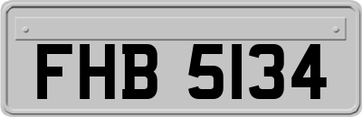 FHB5134