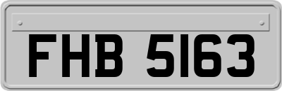 FHB5163
