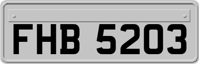 FHB5203