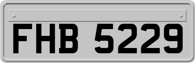 FHB5229