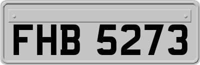 FHB5273