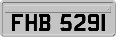 FHB5291