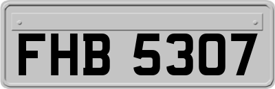 FHB5307