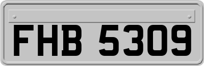 FHB5309