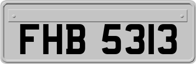 FHB5313