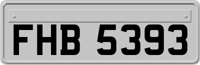 FHB5393