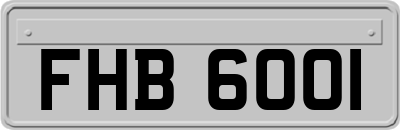 FHB6001