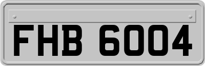 FHB6004