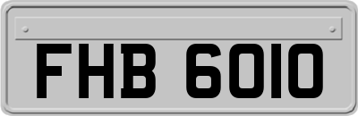 FHB6010