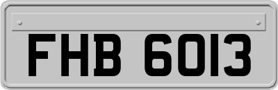 FHB6013